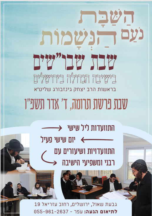  מסך 2026-02-12 235155