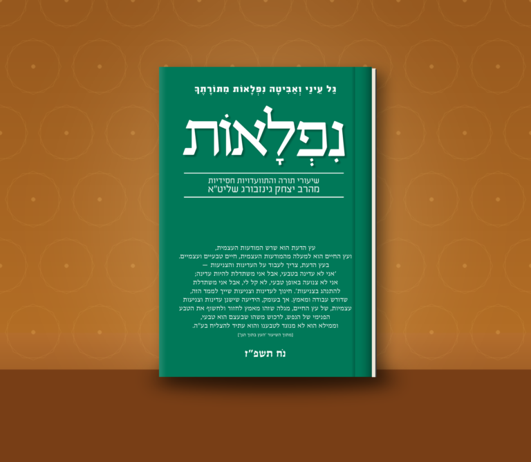 nifla-ot-noach-mockup